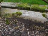 image of grave number 175226